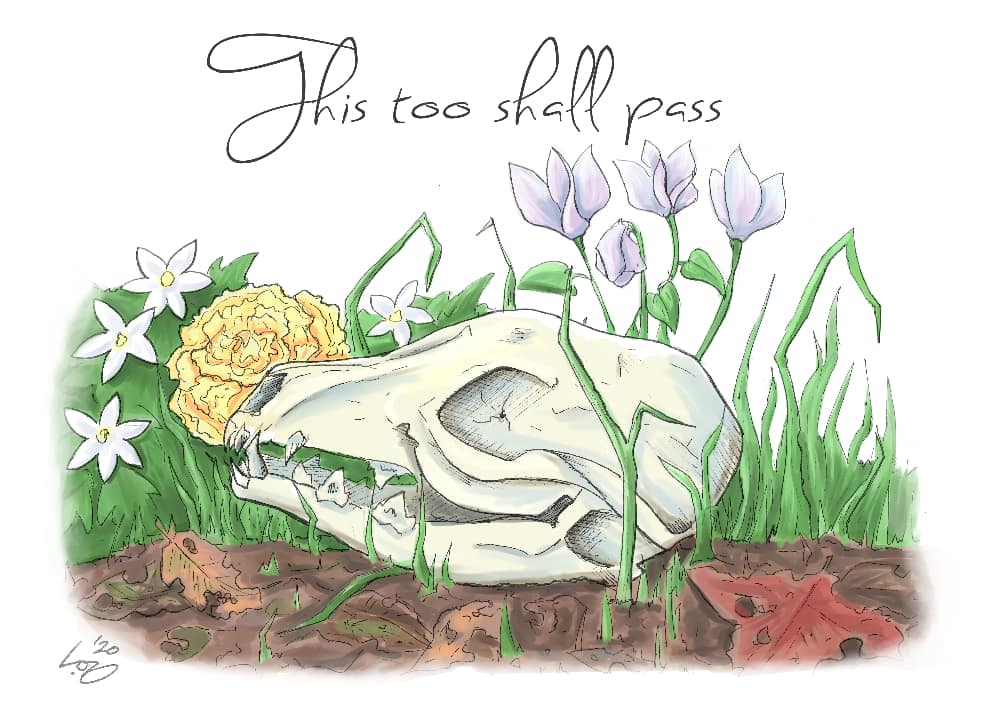 Illustration of a fox skull surrounded by various wildflowers